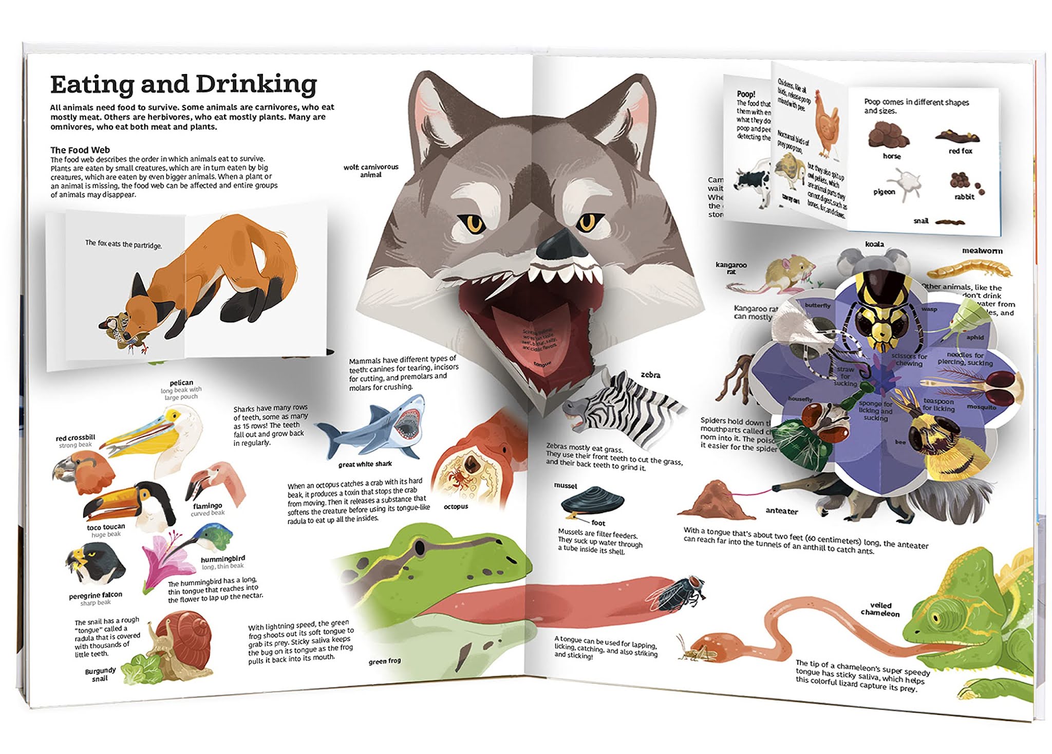 Inspired by Savannah "The Ultimate Book of Animals" Offers over 50 Interactive Flaps, Tabs, and
