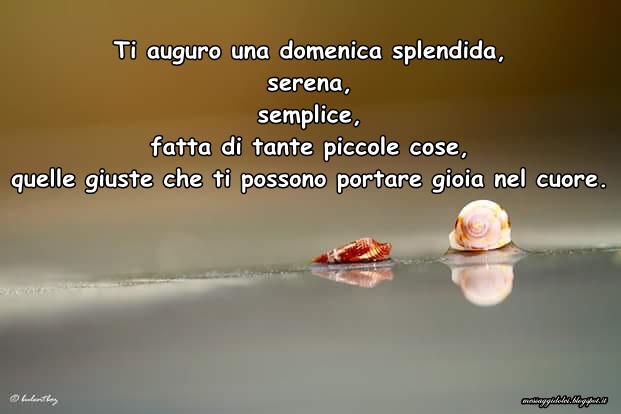 Buona Domenica Frasi Messaggi Dolci