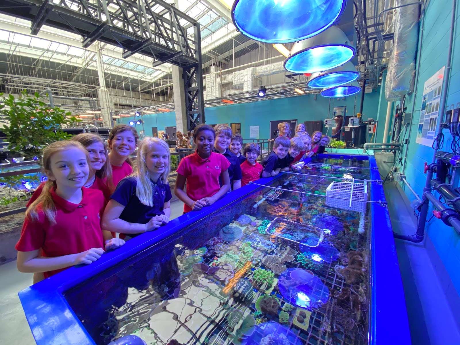 Fifth Grade Blog An Awesome Day at the GA Aquarium!!