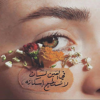 اجمل صور حلوة صور متنوعة، اجمل صور حلوة