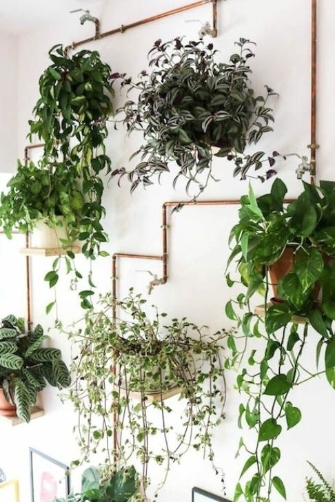 Mi Fiesta Creativa: Colgando las plantas para que luzcan mas