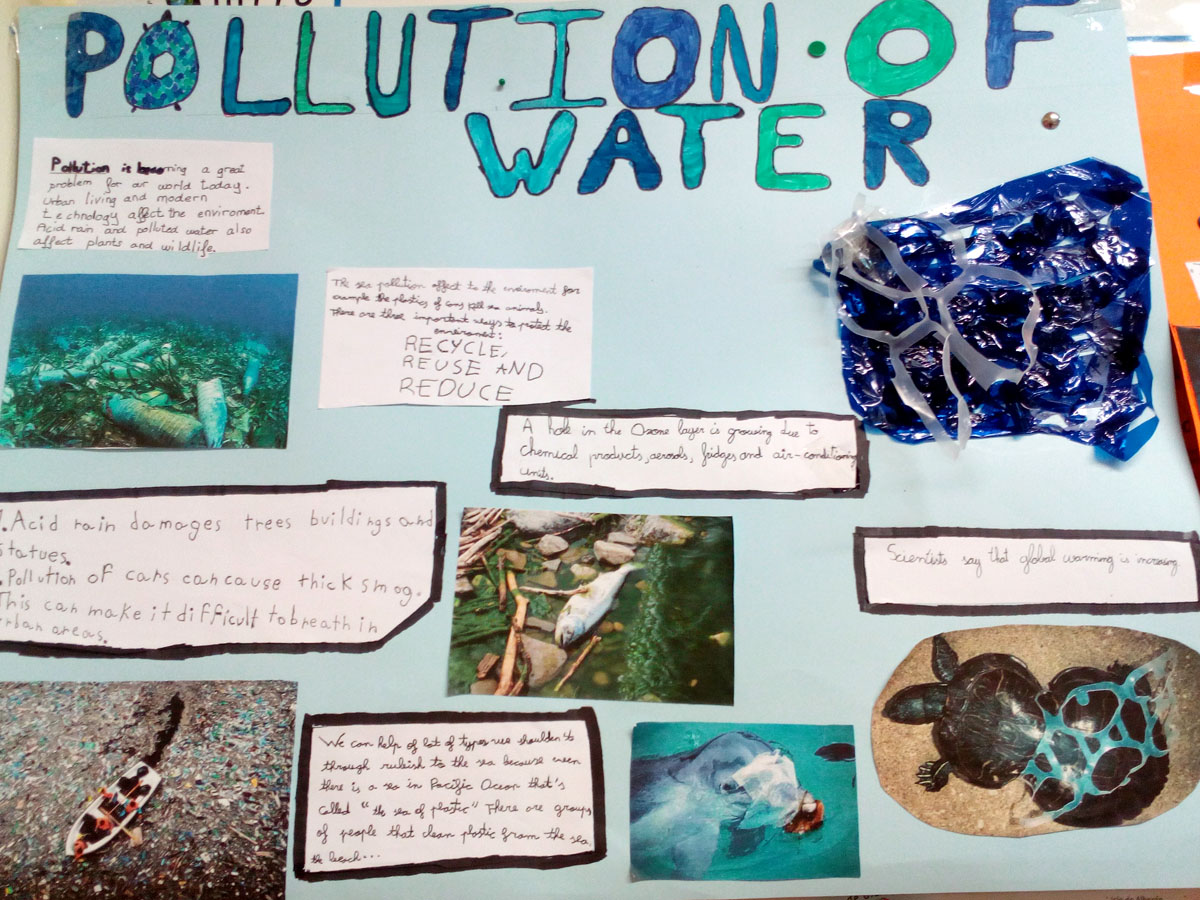 Proyecto Acerca De La Contaminacion Del Agua