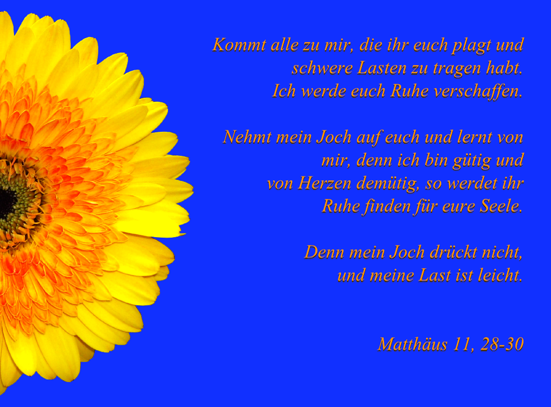 Lizzy - Im Glauben Leben: Bibelvers Matthäus 11, 28-20