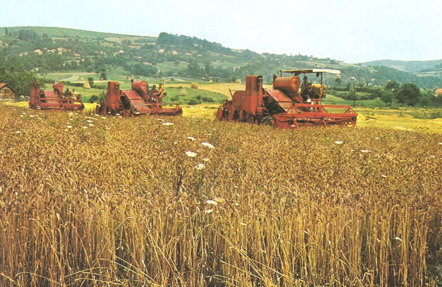 smiling faces sometimes: Bosnia and Herzegovina (11).