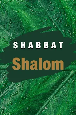 Shabbat Shalom Card Messages | Pretty Greeting Cards | 10 Unique Picture Images