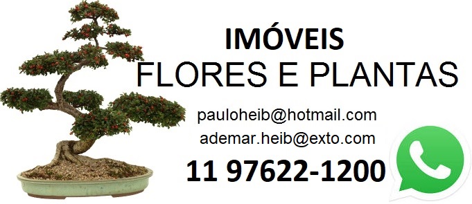 Flores & Plantas