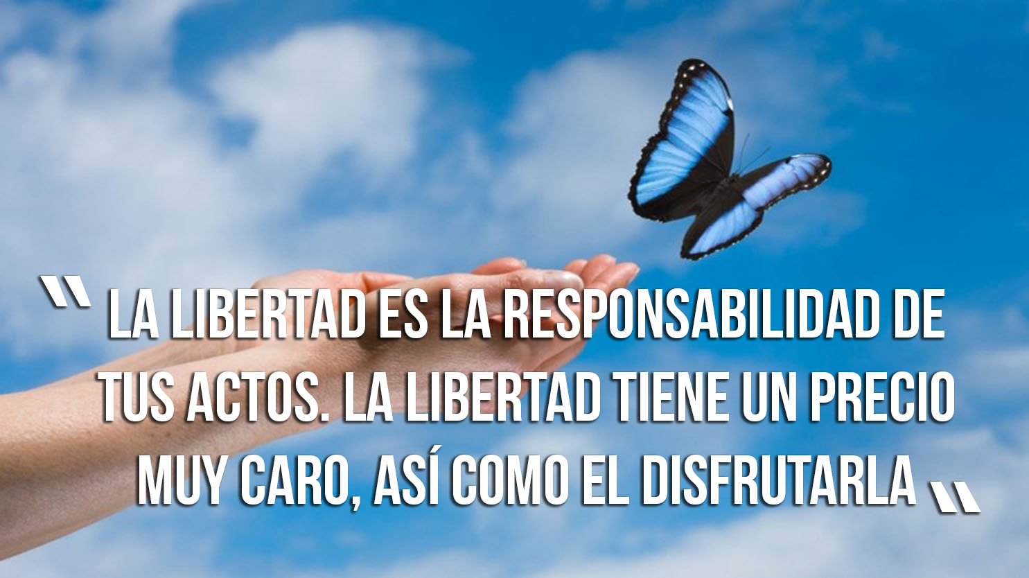 frases de libertad colección 03 frases de la vida