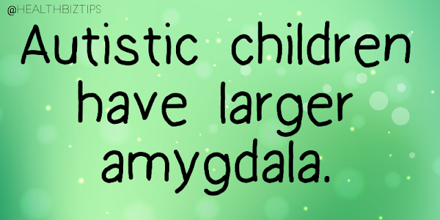 Autistic children have larger amygdala.