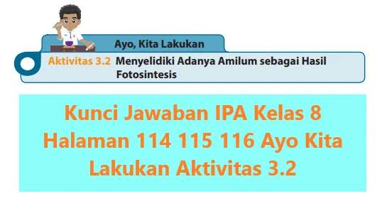 Kunci Jawaban Ipa Kelas 8 Halaman 114 115 116 Ayo Kita Lakukan Aktivitas 3 2 Wali Kelas Sd