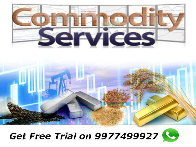 Commodity Market Updates