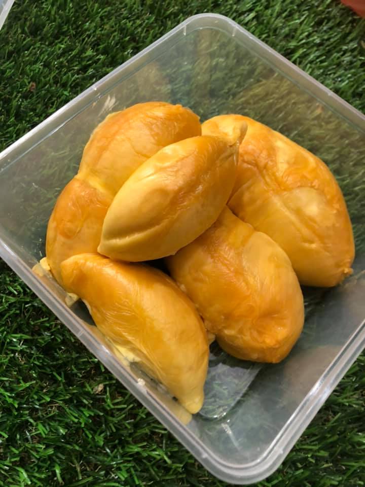 Berita TV Malaysia Durian Hari hari datang yang fresh punya