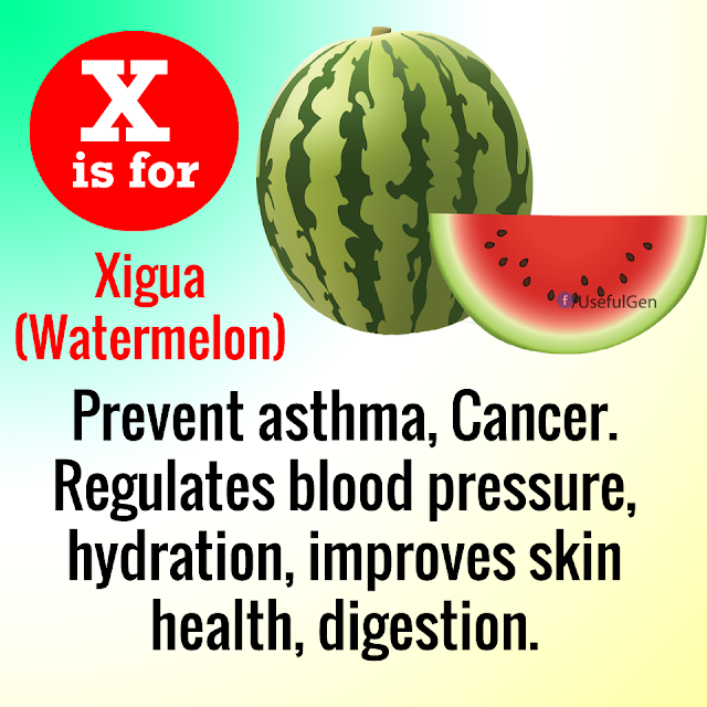 HealthCare Wellness Family Concepts: A to Z of fruits - Xigua (watermelon)