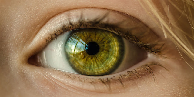 5 curiosités surprenantes sur les personnes aux yeux verts