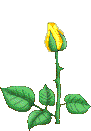 dns47.gif