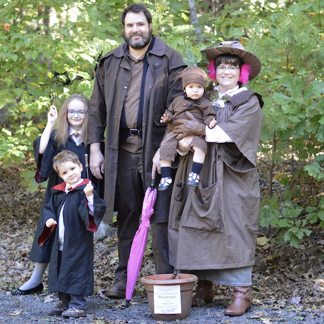 1001 Goals Easy DIY Harry Potterthemed Costumes