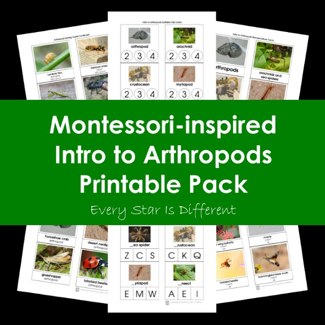 Montessori-inspired Intro to Arthropods Printable Pack