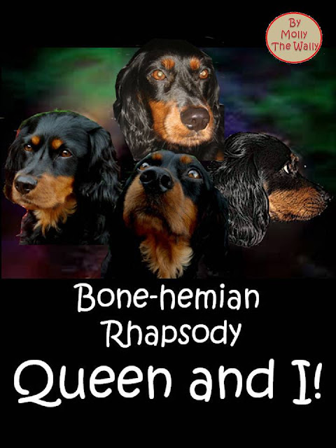 Bohemian Rhapsody, Queen.album cover by Molly The Wally