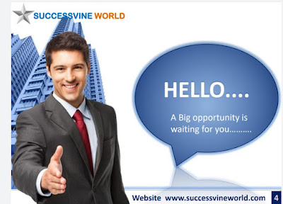 success vine world new plan of mlm in india 1