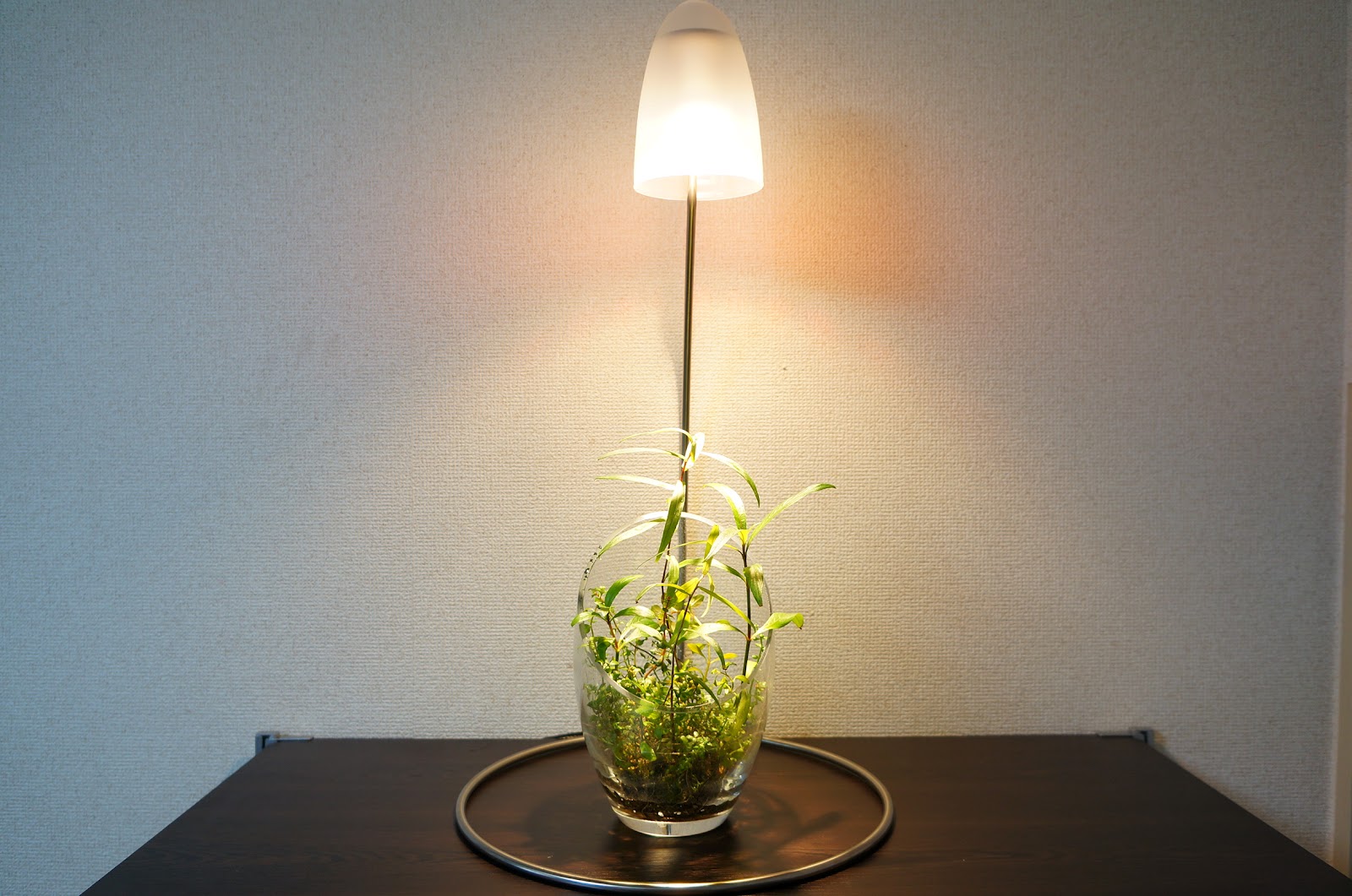 ADA Do!aqua ブランチ・クリーム ADA Do!aqua ブランチ スタンドライト 水草 アクアリウム