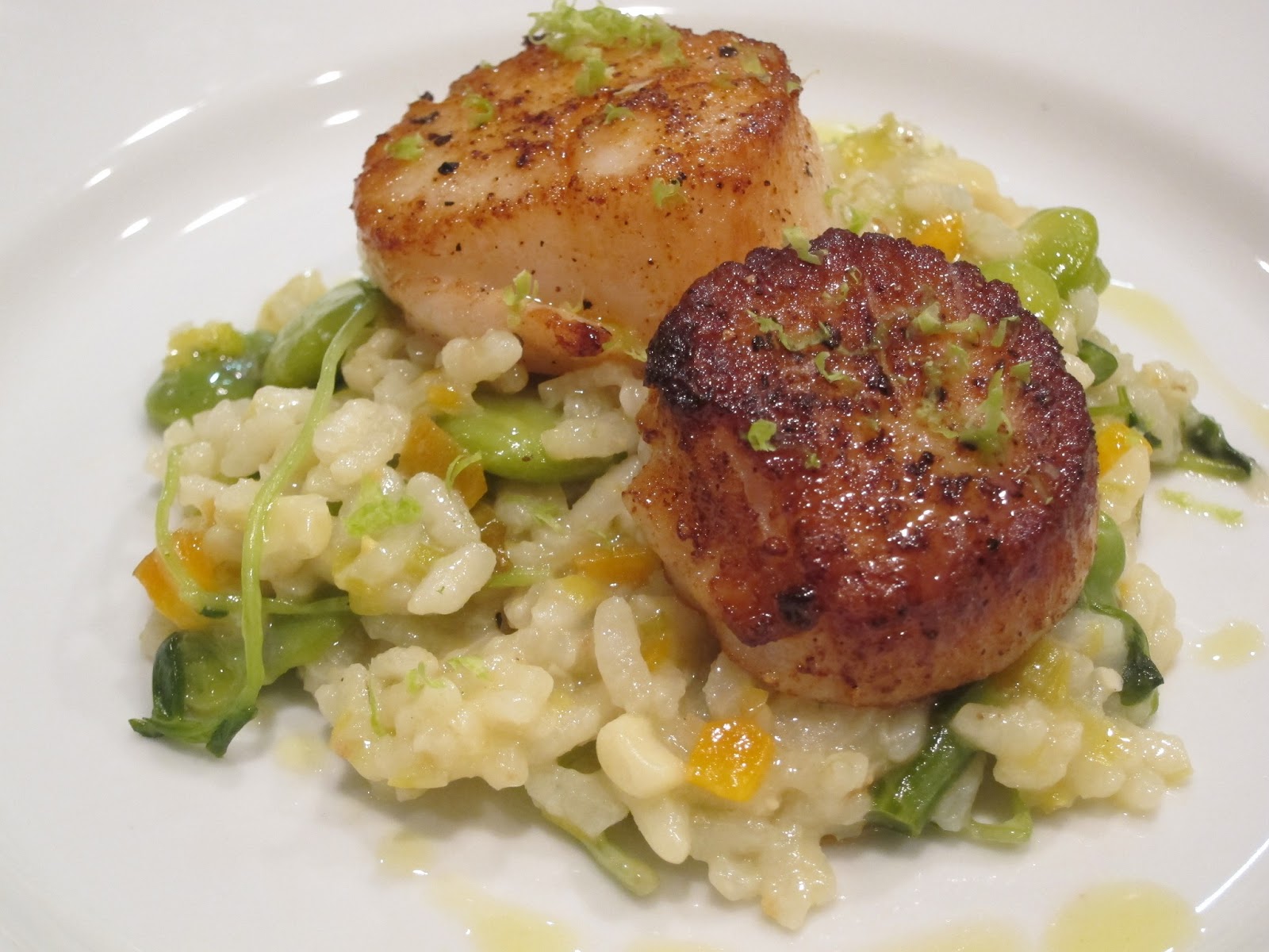 Tim to Table Seared Day Boat Scallops over Spring Vegetable Risotto