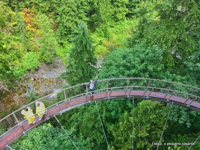 Capilano_Suspension_Bridge_Park_Vancouver_Canada
