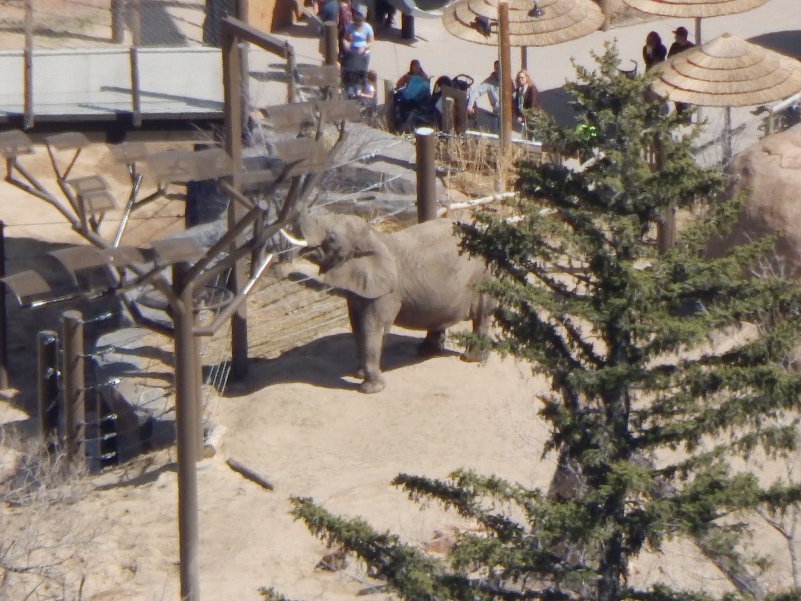 Heroes, Heroines, and History Cheyenne Mountain Zoo America's only