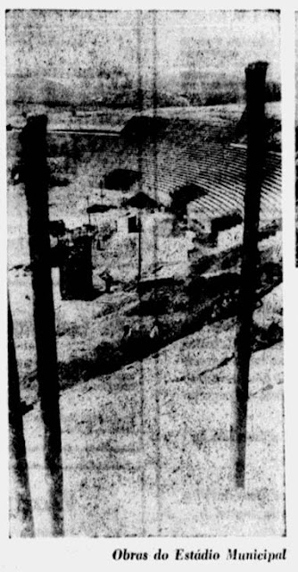 19694.jpg
