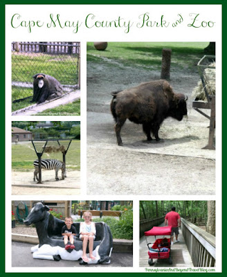 Cape May County Park and Zoo in New Jersey