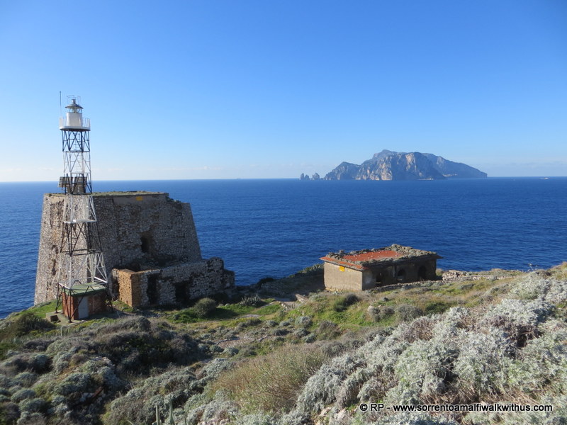 Sorrento Amalfi Walk With Us : IMPORTANT - TRAIL TO PUNTA CAMPANELLA