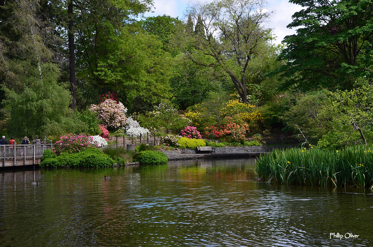 Crystal Springs Rhododendron Garden (Portland, Oregon)