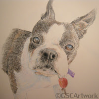 sissy boston terrier colored pencil drawing
