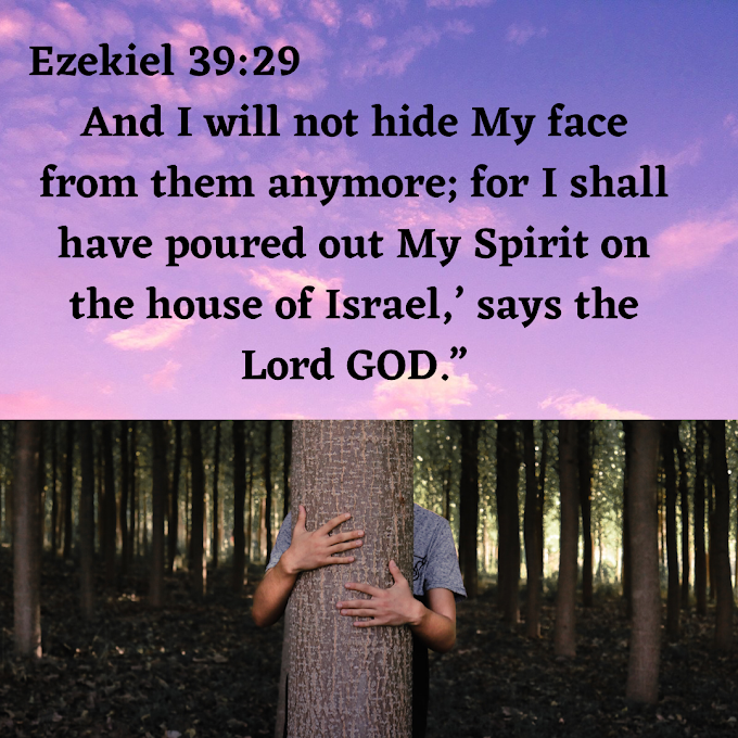 DAILY DEVOTIONAL: HE DOES NOT HIDE