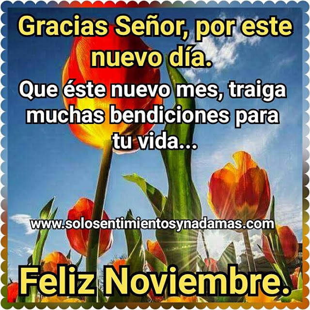 Feliz mes de Noviembre.