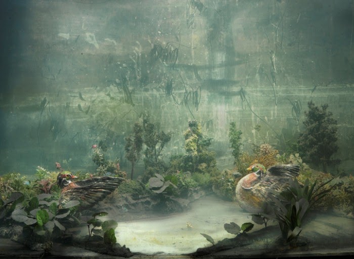 Kim Keever