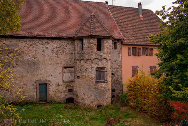 Fortifications de Bergheim (Alsace). Enceinte intérieure du XIVe s.
