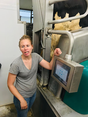 To Dairy or Not to Dairy in a Plant-Based World Weekly Wisdom To Dairy or Not to Dairy in a Plant-Based World Weekly Wisdom