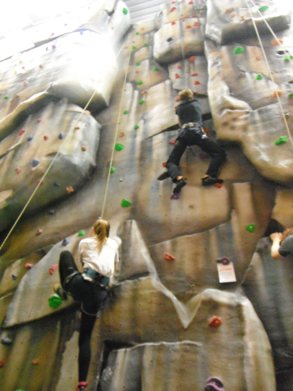 Plymouth College Outdoor Education Life Centre Climbing