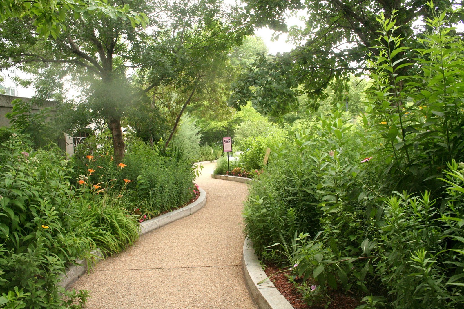 meanderings . . . washington dc smithsonian butterfly garden