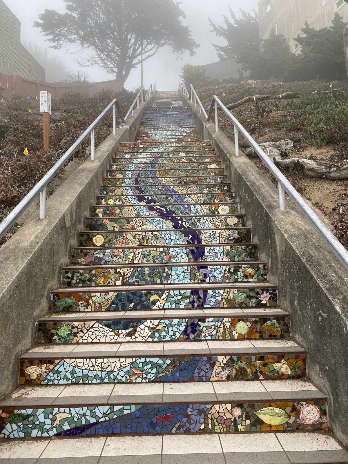 Hawaii Mom Blog: Visit San Francisco: 16th Avenue Tiled Steps