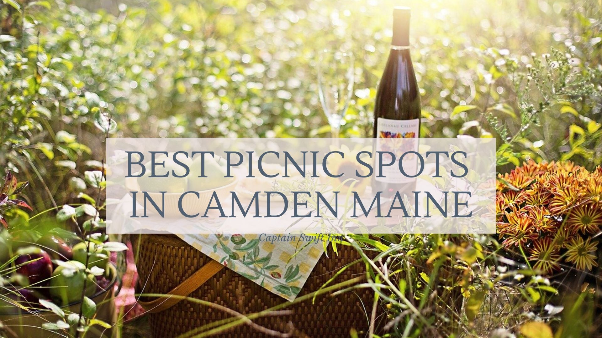 Captain Swift Inn Blog Best Picnic Spots in Camden Maine