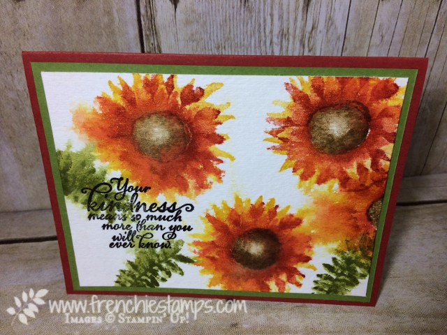 Painted Harvest, Watercolor, Stampin'Up!, Stamping class in the mail