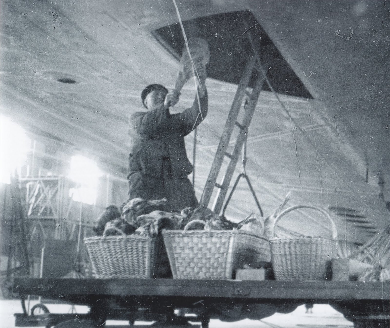 Faces of the Hindenburg Werner Franz