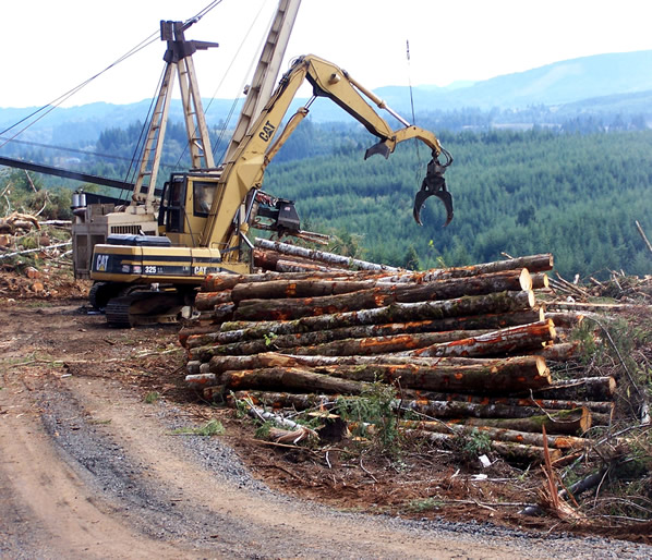 Logging