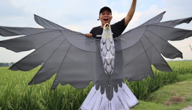 Cara Membuat Layangan Burung Elang Dengan Mudah Bulanbintang7 Com