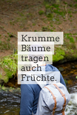 Die 50 besten Zitate zu den Themen Wald und Bäume | Waldzitate | Baumzitate | Naturzitate | Zitate-Wald | Inspirierende-Zitate