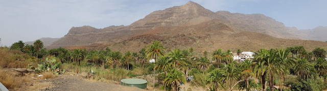 Arteara - Barranco de Fataga - Gran Canaria