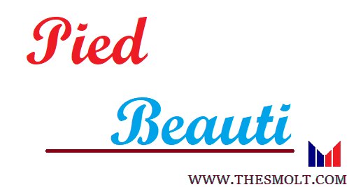 Critical appreciation on Pied Beauty Summary Theme 1 Pied Beauty Summary