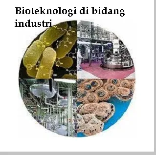 Hasil dan contoh bioteknologi di bidang industri