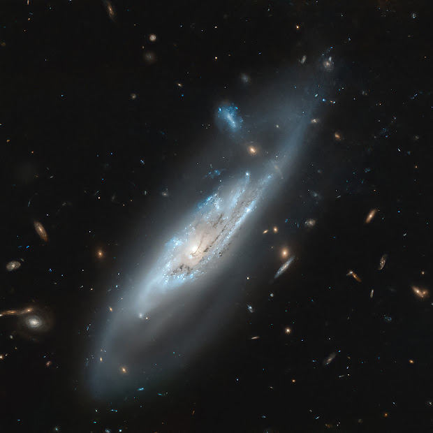 Barred Spiral Galaxy NGC 4848