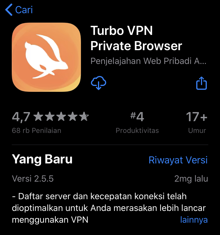VPN iOS terbaik 2020